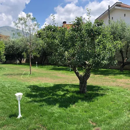 Strapalu' Nocleg ze śniadaniem 3*