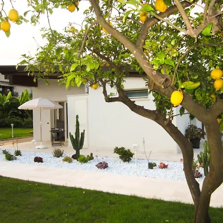 Strapalu' Bed & Breakfast