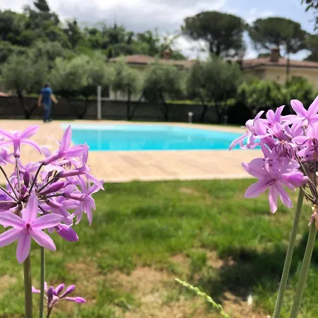 Strapalu' Bed & Breakfast