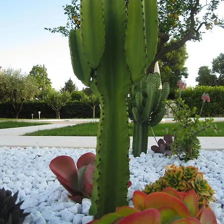 Strapalu' Bed & Breakfast