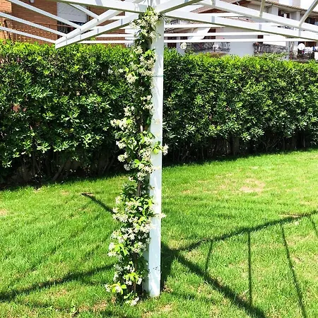 Strapalu' Bed & Breakfast 3*