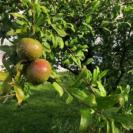 Strapalu' Nocleg ze śniadaniem
